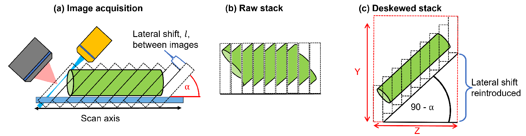 deskew_from_lamb_paper.png