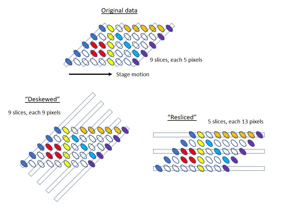 deskew_vs_reslice.jpg